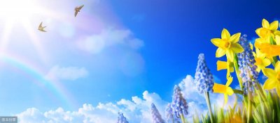 推荐几本男女主是青梅竹马的小说,从牙牙学语到一生偕老,超甜