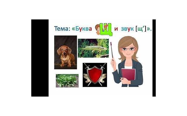 秋天有什么花？这些花语让你的爱情更加浪漫