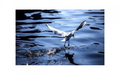 ​回避型男友是什么