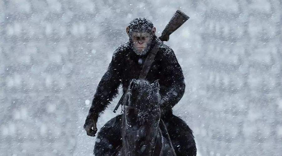 八部经典的关于动物的电影，你看过几部？