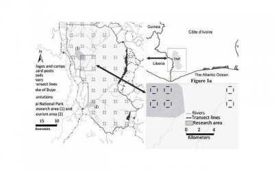 ​情侣爱情宣言，让你的TA为你倾心