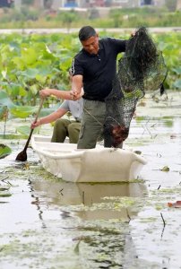 ​# 2025 年养殖行业的“财富密码”