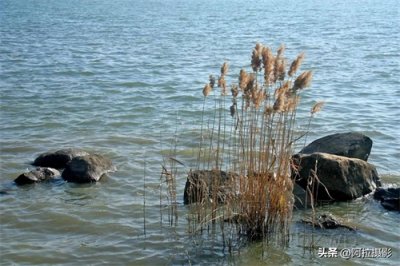 ​漫步苏州金鸡湖畔