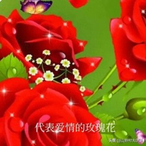 ​520送什么礼物