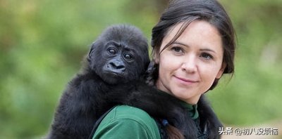 ​苏联“人猿杂交”实验，让猩猩与多名女孩共处，最终结局怎么样？