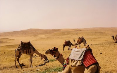 ​大学什么时候可以考研？学姐分享。