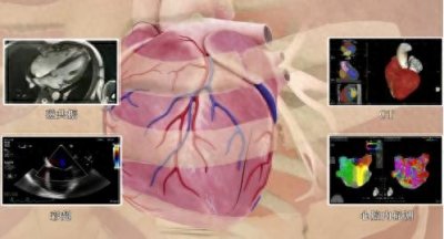 ​重大突破！湘雅二医院周胜华教授牵头获批国家重大科研仪器研制项目