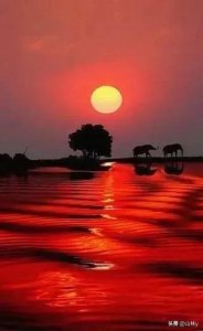 ​48幅绝美金奖摄影作品欣赏，动人心魄的美感！