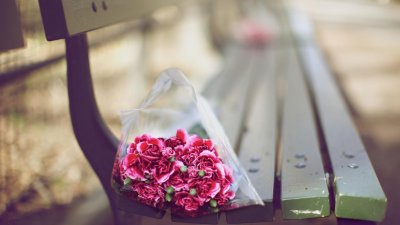 什么是爱情？读完这6句话，会告诉你答案