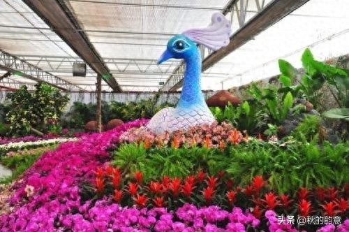 昌平北京农业嘉年华草莓博览园,园区精品馆看到罕见的珍贵品种