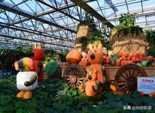 昌平北京农业嘉年华草莓博览园,园区精品馆看到罕见的珍贵品种