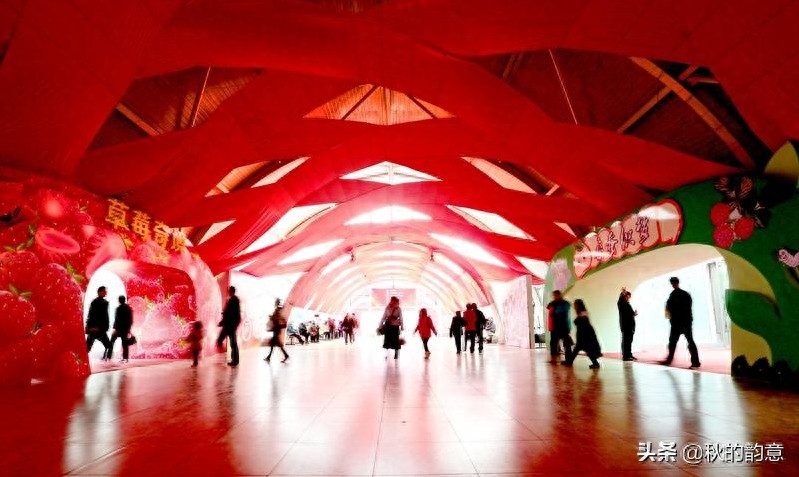 昌平北京农业嘉年华草莓博览园,园区精品馆看到罕见的珍贵品种