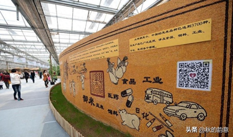 昌平北京农业嘉年华草莓博览园,园区精品馆看到罕见的珍贵品种