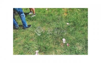 如何找优质女生谈恋爱的方法