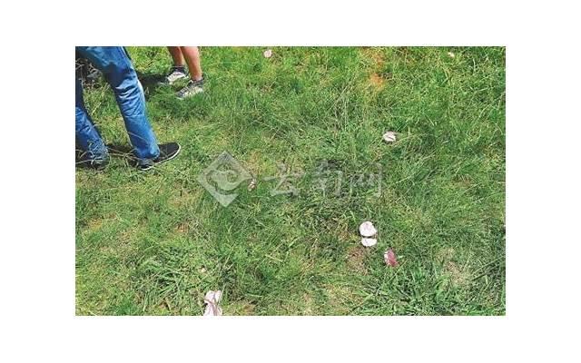 如何找优质女生谈恋爱的方法