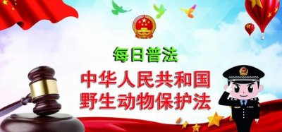 ​【每日普法】《中华人民共和国野生动物保护法》之分类分级保护
