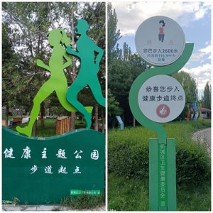 ​岂止诗酒趁年华