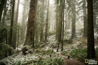 ​寻找保罗·班扬，探秘传说背后的真相