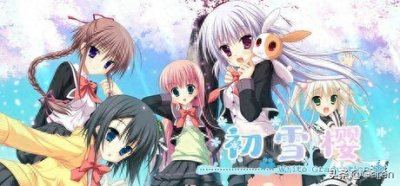 《初雪樱》:爱恨交织下冬去春来,爱情之樱花已绽放