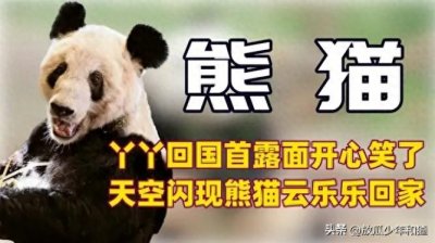 为何要出租大熊猫给外国? 赚钱啊! 年入34亿
