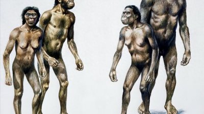 中国人的祖先之谜:到底是本土猿人,还是非洲迁徙而来的智人?