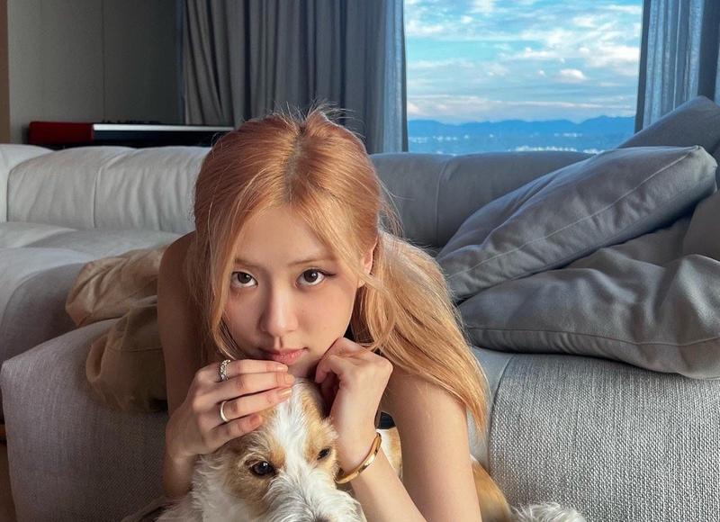 赵传经典歌曲十首(赵传十大经典歌曲盘点) 赵传经典歌曲十首(赵传十大经典歌曲盘点)