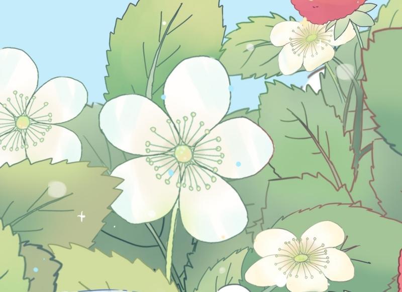 婚外情分分合合是真爱吗（婚外情到底有没有真爱）