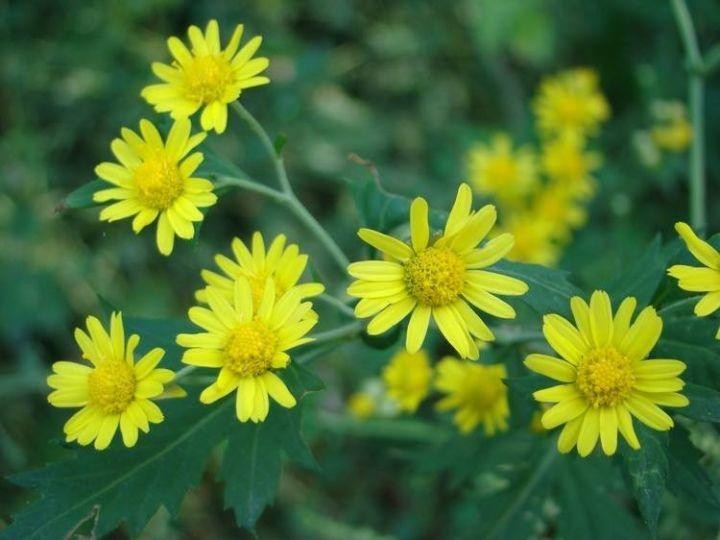 德云社周年庆典完整版（天津德云社成立一周年庆典）