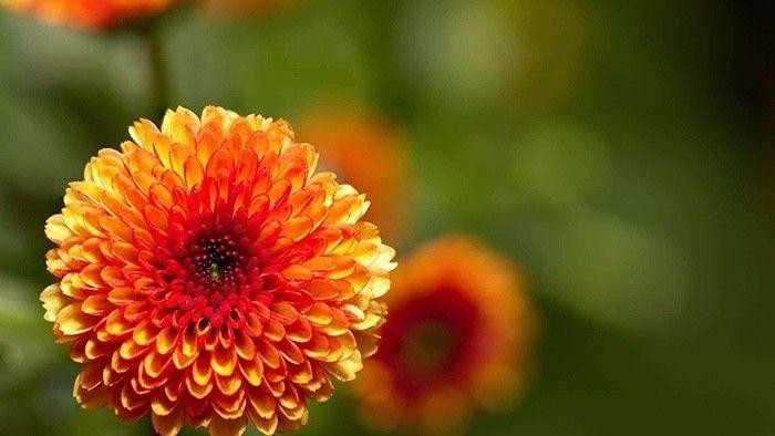 德云社周年庆典完整版（天津德云社成立一周年庆典）