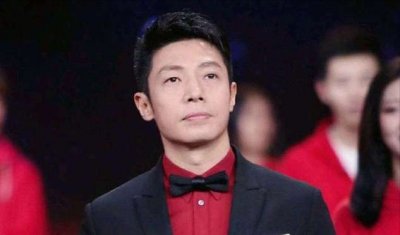 ​撒贝宁个人资料简历的图片（北大才子撒贝宁爱情事业双丰收）