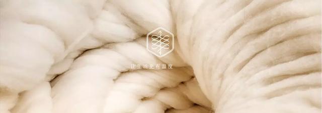 刘雯代言ubras肌底衣半高领（这个品牌不但入驻5家店）(15)