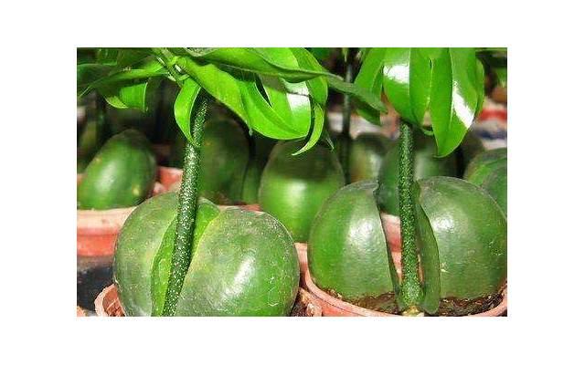 记得逼自己养成的几个生活习惯