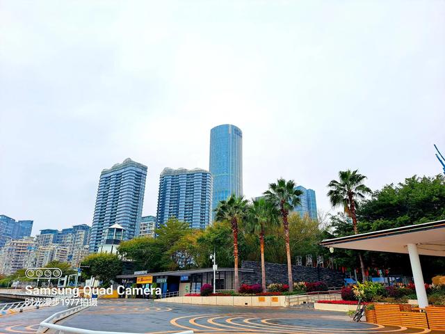 深圳适合徒步的景点推荐(深圳海滨栈道徒步之旅)(7)