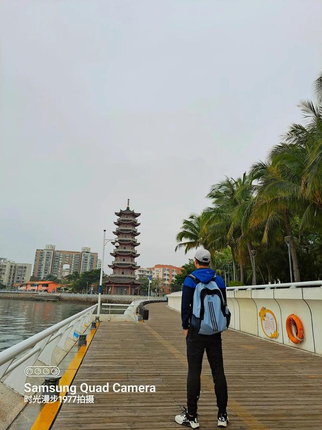 深圳适合徒步的景点推荐(深圳海滨栈道徒步之旅)(3)