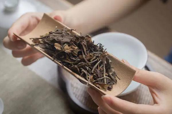 老白茶孕妇可以喝吗 老白茶的味道和口感 老白茶孕妇可以喝吗 老白茶的味道和口感