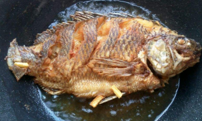 ​鱼眼睛可以吃,鱼眼睛可以吃吗