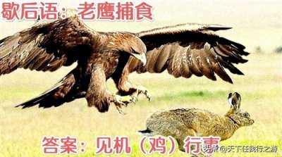 ​幽默风趣的歇后语解读：332.老鹰捕食