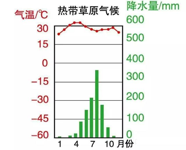 哪种鱼没有水还能活很久(不吃不喝睡3年仍能存活的鱼)(5)