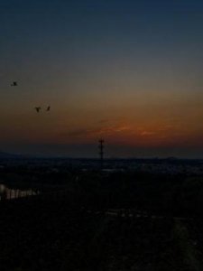 ​日月交替(日月交替是什么意思)