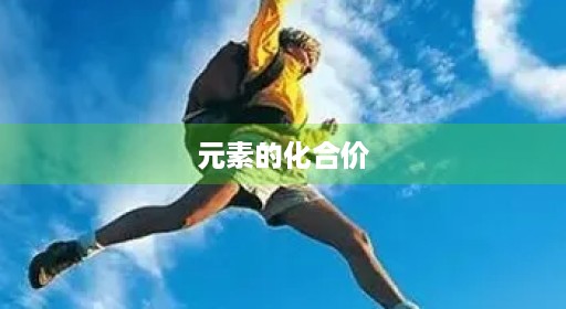元素的化合价 元素的化合价