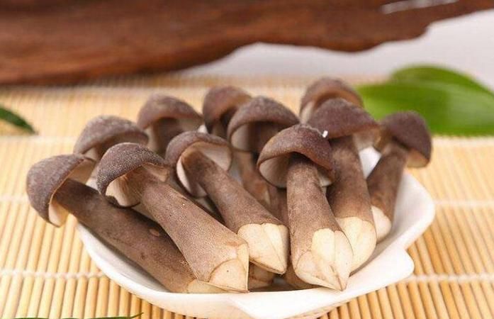 怎样用冰箱保存新鲜野生菌