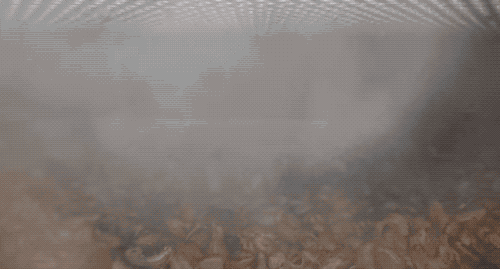 为什么我们买到的腰果都不带壳（终于知道买到的）(16)