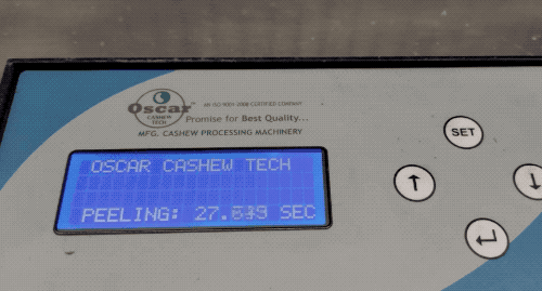 为什么我们买到的腰果都不带壳（终于知道买到的）(17)