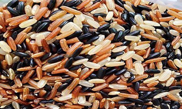 三色糙米提前泡多久,三色糙米煮饭需要提前泡多久图5