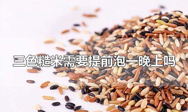 三色糙米提前泡多久,三色糙米煮饭需要提前泡多久图4