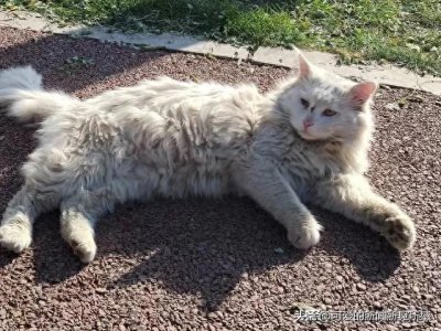 独生女家庭遭人嫌?都不愿娶独生女?真的是这样的吗