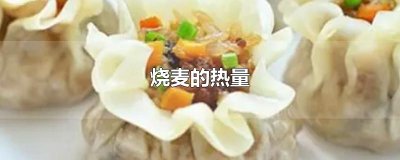 ​烧麦的热量