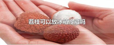 ​荔枝能不能放冰箱冷藏 荔枝可不可以放冰箱冷藏