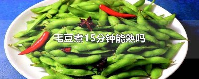 ​毛豆煮20分钟 毛豆煮了十分钟熟了吗