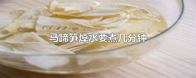 马蹄笋焯水多久能熟啊 马蹄笋煮多久会熟
